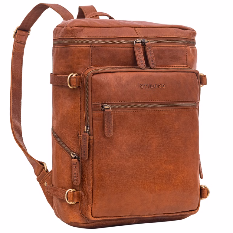 "Alvar" Sac à dos d'affaires cuir pour hommes